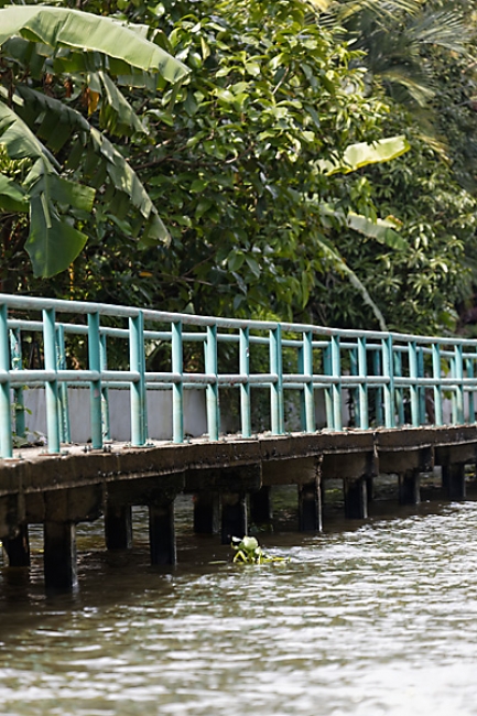 Talin chan-NOV13-161